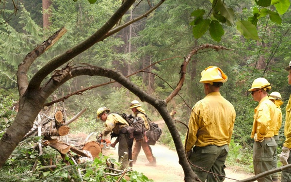 Washington National Guard Soldiers and Airmen Support Statewide Wildfire Response