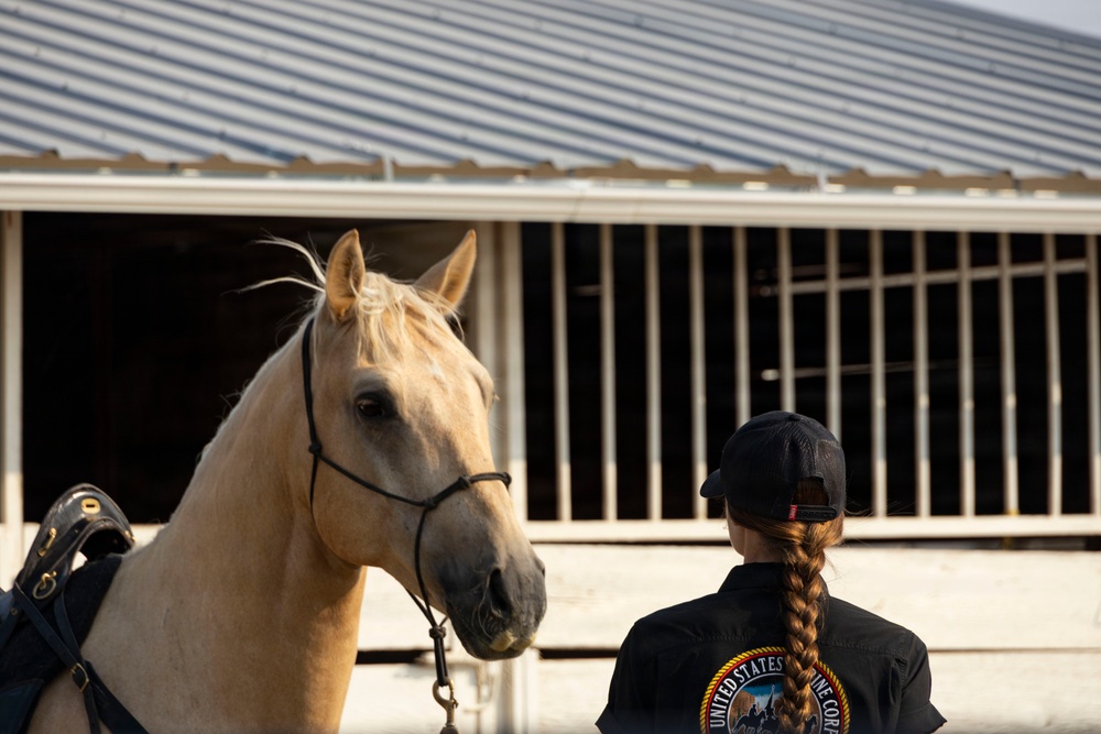 U.S. Marine Corps Mounted Color Guard presents the colors for Big Sky Pro Rodeo