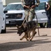 A military K-9 handler in U.S. Navy camouflage uniform leads a German Shepherd dog on a leash across a paved area, apparently conducting a vehicle inspection or security sweep. In the background, a law enforcement officer in a dark uniform and a civilian in a red vest are observing the exercise near a white Ford F-150 pickup truck with emergency lights. The scene appears to be a security checkpoint or training exercise at a military or government installation.