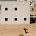 U.S. Marines with 2nd Bn., 1st Marines, rehearse company attacks during AFX