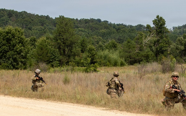 807th TMC WAREX