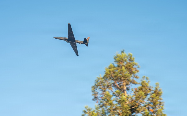 A dark-colored aircraft is captured in flight against a clear blue sky, photographed from a low angle looking upward. The aircraft appears to have a distinctive high-aspect-ratio wing design, consistent with a reconnaissance or high-altitude aircraft. Two coniferous trees are visible in the foreground, partially out of focus.