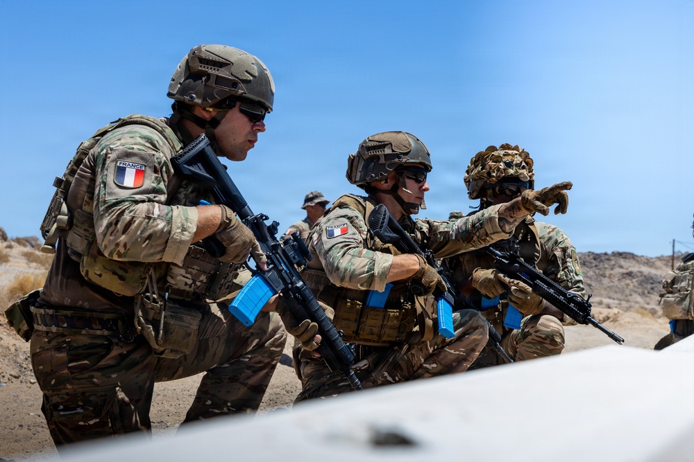 French Marines with 21st Marine Infantry Regiment conduct Range 220 at the Combat Center