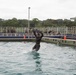 LCF-24: V32 Jungle Course Swim and Knots