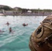 LCF-24: V32 Jungle Course Swim and Knots