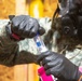 A person wearing military camouflage uniform, black protective gloves, and a full-face gas mask is handling a clear test tube or detection vial containing a blue substance. The activity appears to be a CBRN (Chemical, Biological, Radiological, Nuclear) detection or sampling procedure. Pink/magenta colored markers or tags are visible on the gloves and equipment, likely used for identification or procedural sequencing.