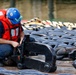 Anchor On-Load