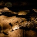 U.S. Marine Corps Officer Candidates Complete the Forge