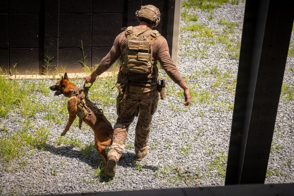 3rd Special Forces Group (Airborne) Integrates Multipurpose Canine and Drone Technology into Urban Operations