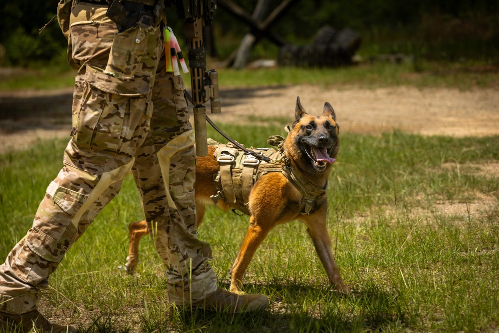 3rd Special Forces Group (Airborne) Integrates Multipurpose Canine and Drone Technology into Urban Operations