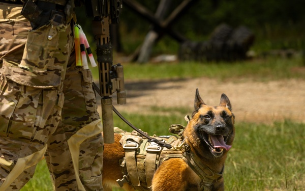 3rd Special Forces Group (Airborne) Integrates Multipurpose Canine and Drone Technology into Urban Operations
