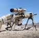 French Marines with 21st Marine Infantry Regiment conduct Range 113 at the Combat Center