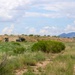 A military convoy is operating on a dirt trail through an arid, scrub-covered landscape with mountains visible in the background. The foreground shows a tan/sand-colored tactical wheeled vehicle (consistent with an JLTV or HMMWV variant) traveling along the track, while additional military vehicles are visible in the middle distance near a low ridge. The setting appears to be a desert training range or operational area in the American Southwest.