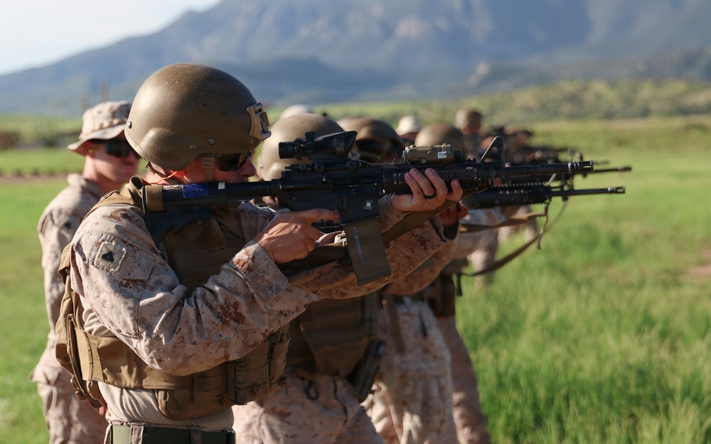 A line of military personnel in desert camouflage uniforms are aiming rifles in a coordinated firing line formation. The soldiers are equipped with tactical gear including helmets, body armor, and optical sights mounted on their weapons. The setting appears to be an outdoor training range with green grass and mountains visible in the background.
