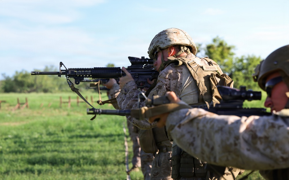 The image shows multiple military personnel in a firing line formation, aiming rifles in the same direction across an open grassy field. The soldiers are wearing desert MARPAT camouflage uniforms and tactical gear consistent with U.S. Marine Corps equipment. The scene appears to be a training exercise or range qualification event.