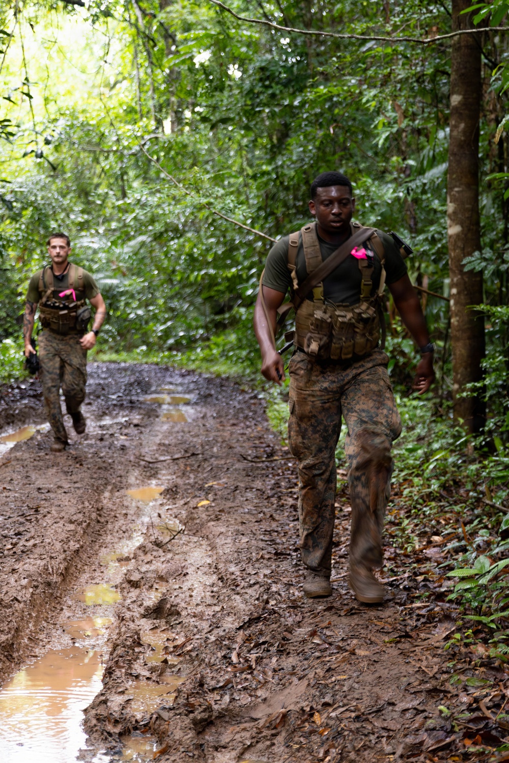 Green Inferno: LCF-24, V32 Jungle Course