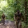 Green Inferno: LCF-24, V32 Jungle Course Green Inferno: LCF-24, V32 Jungle Course