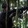 Green Inferno: LCF-24, V32 Jungle Course Green Inferno: LCF-24, V32 Jungle Course