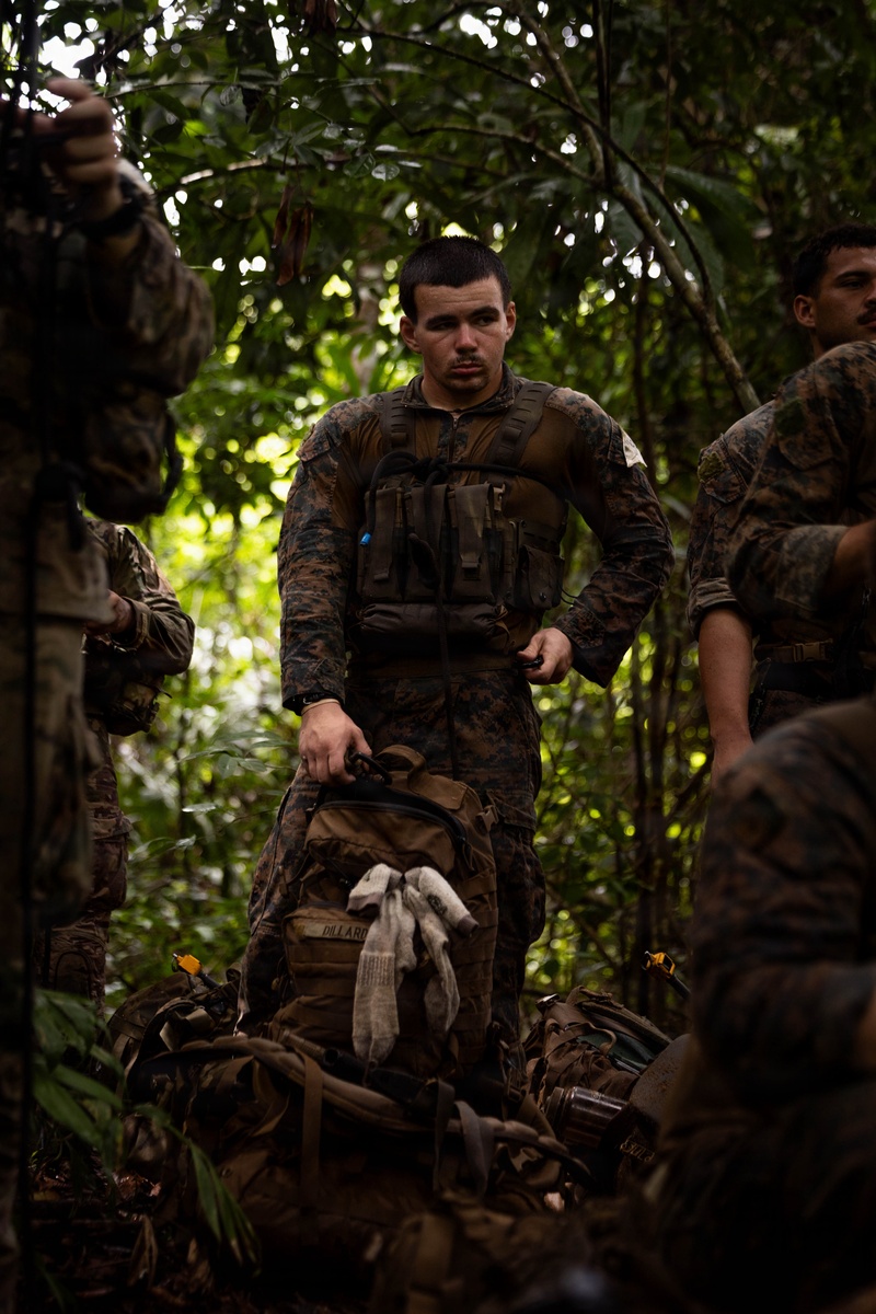 Green Inferno: LCF-24, V32 Jungle Course