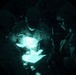 USAREUR-AF Best Squad Competition 2026: Night Raid