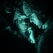 USAREUR-AF Best Squad Competition 2026: Night Raid