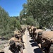 MTX 4-26: U.S. Marines summit Mean Peak