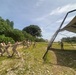 A group of military personnel in tan/desert camouflage uniforms are collectively pulling on ropes attached to a large metal-framed structure, appearing to erect or dismantle a large tent or shelter. The activity takes place in an outdoor area with grassy and rocky terrain surrounded by tropical vegetation. One individual stands near the structure while the others form a line pulling the guide ropes.