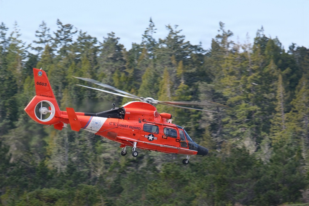 U.S. Coast Guard MH-65 Dolphin Helicopter 6603 in Flight Near Forested Coastline
