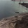 Barge 45 Response: Archival Images