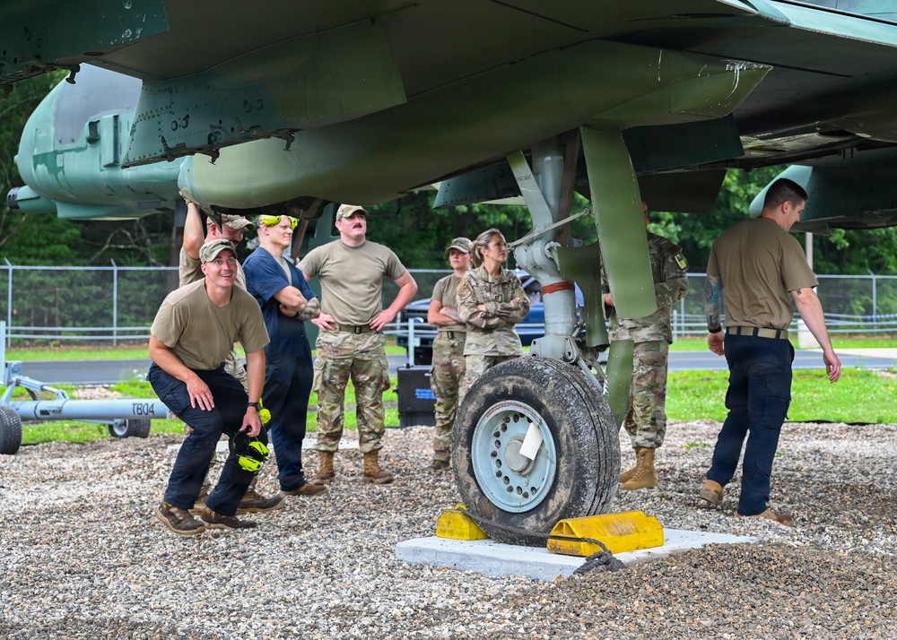The 104th Fighter Wing Warthog with Two Souls, Flys again
