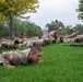 Fort Carson Newcomers PT