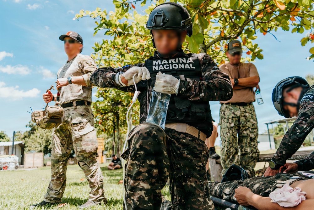 Naval Task Force Tridente