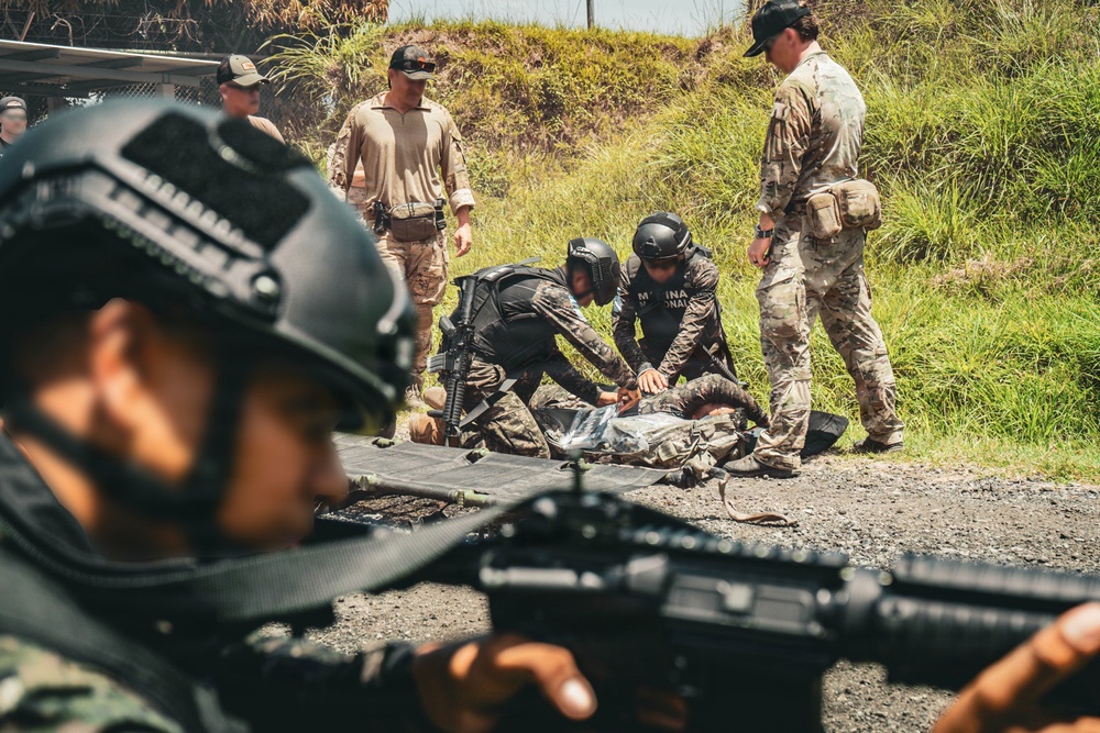 Naval Task Force Tridente