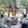 Army reserve engineers demonstrate combat readiness during Northern Strike 26-2