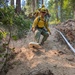 A crew of wildland firefighters in standard yellow Nomex shirts and green pants are traversing a steep, sandy hillside in a forested area. The lead firefighter is carrying a rolled fire hose while descending the slope, with additional crew members following behind in a line. A white hose line is also visible along the right edge of the slope, suggesting active hose lay operations.