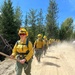 A crew of wildland firefighters marches in a single-file line along a dusty dirt road flanked by conifer trees under a clear blue sky. The lead firefighter, wearing standard nomex gear, carries a hand tool (pulaski or similar) and is equipped with a headlamp and red-tinted sunglasses. Dust kicked up by the crew is visible in the background, suggesting active movement toward or away from a fire assignment.