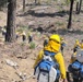 A crew of wildland firefighters in yellow Nomex fire-resistant gear and hard hats are advancing through a partially burned forest area. They are carrying rolled fire hoses, backpacks, and other firefighting equipment as they move uphill through cleared, scorched terrain. The scene shows active fire suppression or mop-up operations with smoke visible in the background.