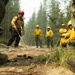 A group of wildland firefighters in standard yellow Nomex shirts and green pants are gathered in a forested area, apparently during a training exercise or fire suppression briefing. One firefighter wearing a red helmet is demonstrating or pointing out something on the ground using a hand tool, while others observe attentively. The scene shows evidence of recent burning with scorched earth and debris visible on the ground.