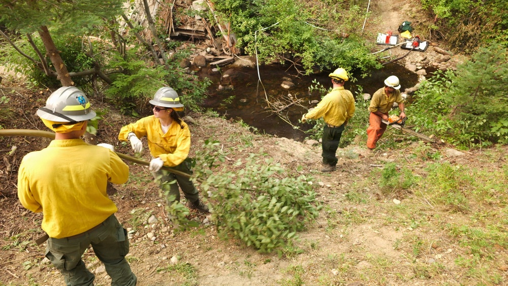 Four wildland firefighters in standard yellow Nomex shirts and hard hats are performing vegetation clearing work near a rocky creek or stream bed. The crew appears to be conducting fuel reduction or hazard mitigation work, using hand tools and what appears to be a chainsaw. The setting is a wooded, rocky terrain with dense brush and a small water feature.