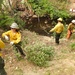 Four wildland firefighters in standard yellow Nomex shirts and hard hats are performing vegetation clearing work near a rocky creek or stream bed. The crew appears to be conducting fuel reduction or hazard mitigation work, using hand tools and what appears to be a chainsaw. The setting is a wooded, rocky terrain with dense brush and a small water feature.