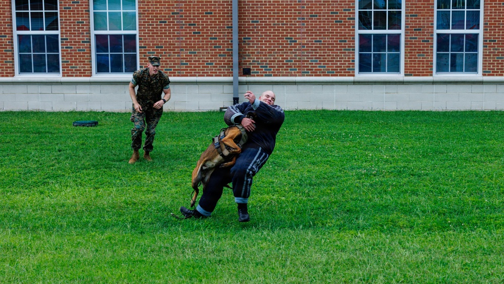 Security Battalion hosts 2026 National Night Out