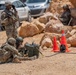 Target Acquired: 35th ADA Conducts Live-Fire During Tenacious Archer 26