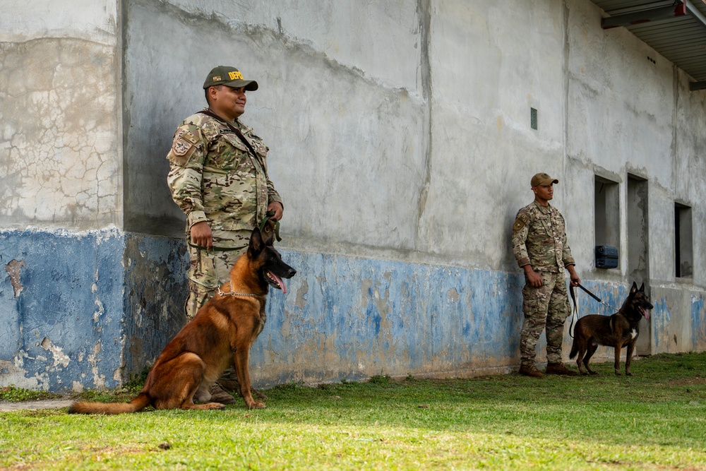 PANAMAX 2026 strengthens partnerships through multinational canine training