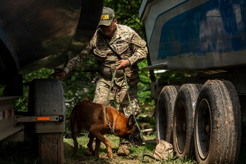 PANAMAX 2026 strengthens partnerships through multinational canine training