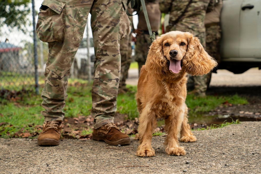 PANAMAX 2026 strengthens partnerships through multinational canine training