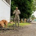 PANAMAX 2026 strengthens partnerships through multinational canine training