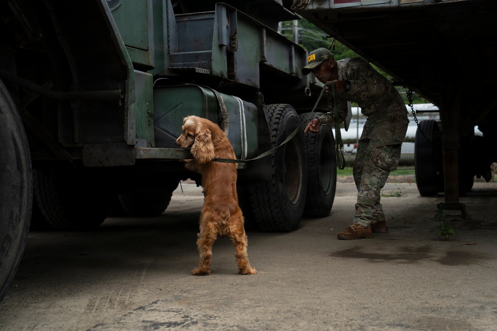 PANAMAX 2026 strengthens partnerships through multinational canine training