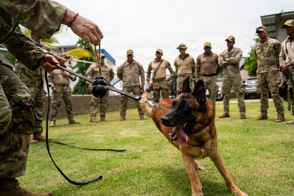 PANAMAX 2026 strengthens partnerships through multinational canine training
