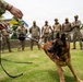PANAMAX 2026 strengthens partnerships through multinational canine training