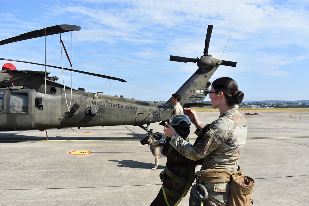 Wiesbaden Veterinary Treatment Facility Hosts K9 Tactical Combat Casualty Care and UH-60 Familiarization Training